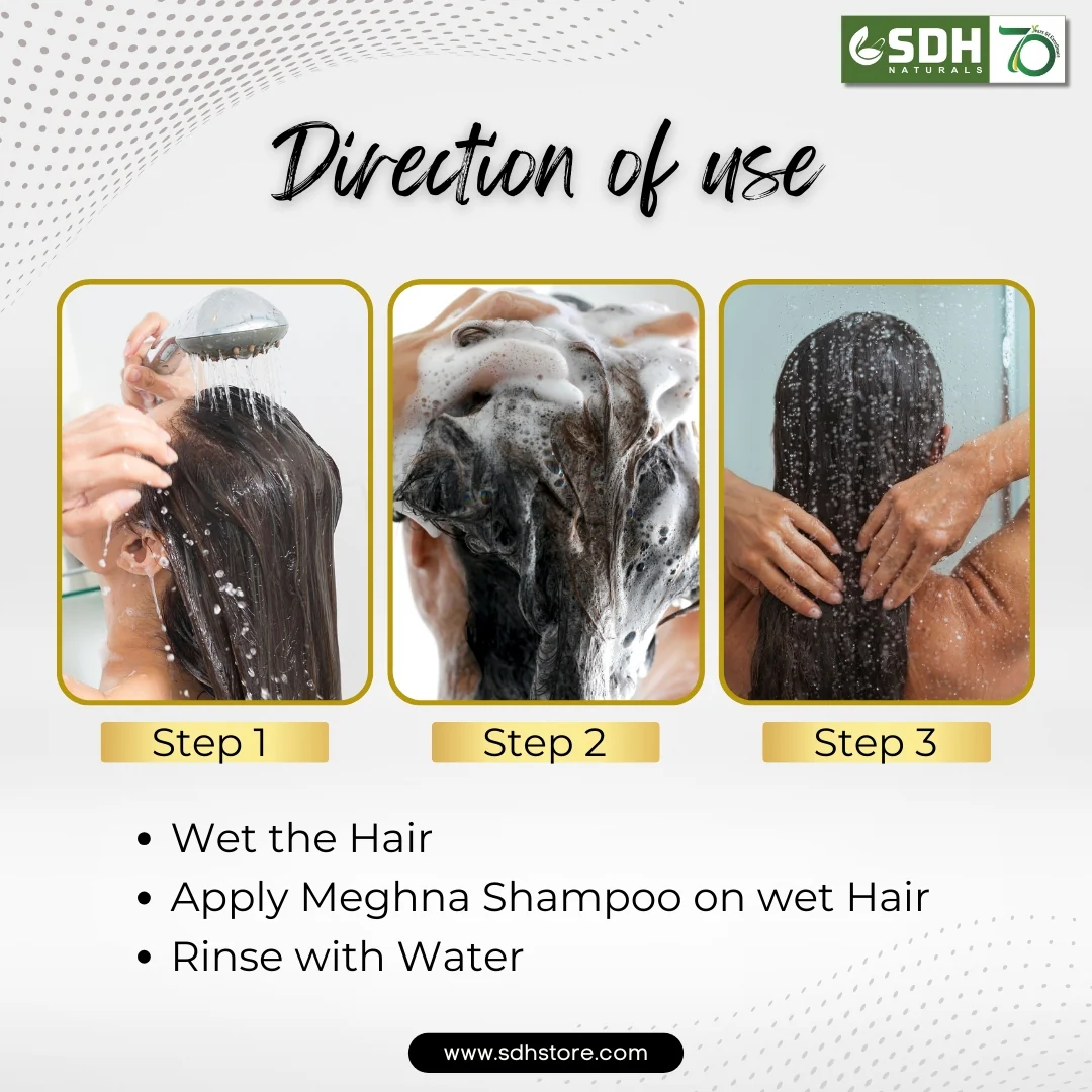 Meghna Shampoo & Meghna Hair Oil Combo Pack For Holi - Image 5